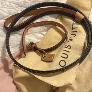 Louis Vuitton Baxter collier and leash